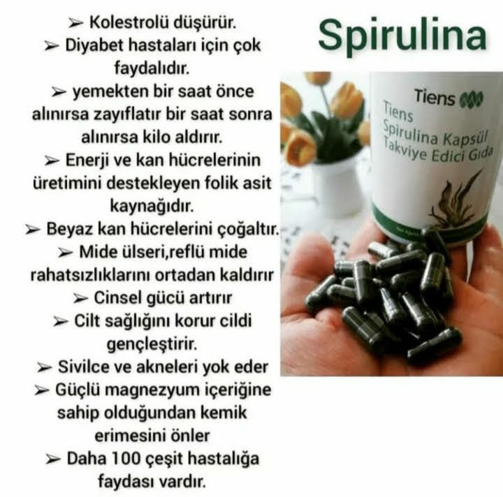 Spirulina Kapsül Bilgisi
